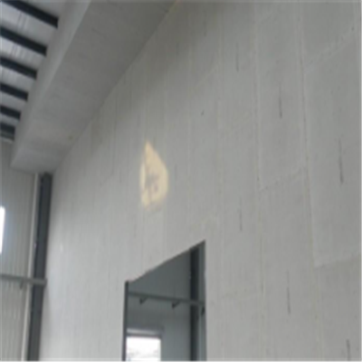 海伦新型建筑材料掺多种工业废渣的ALC|ACC|FPS模块板材轻质隔墙板